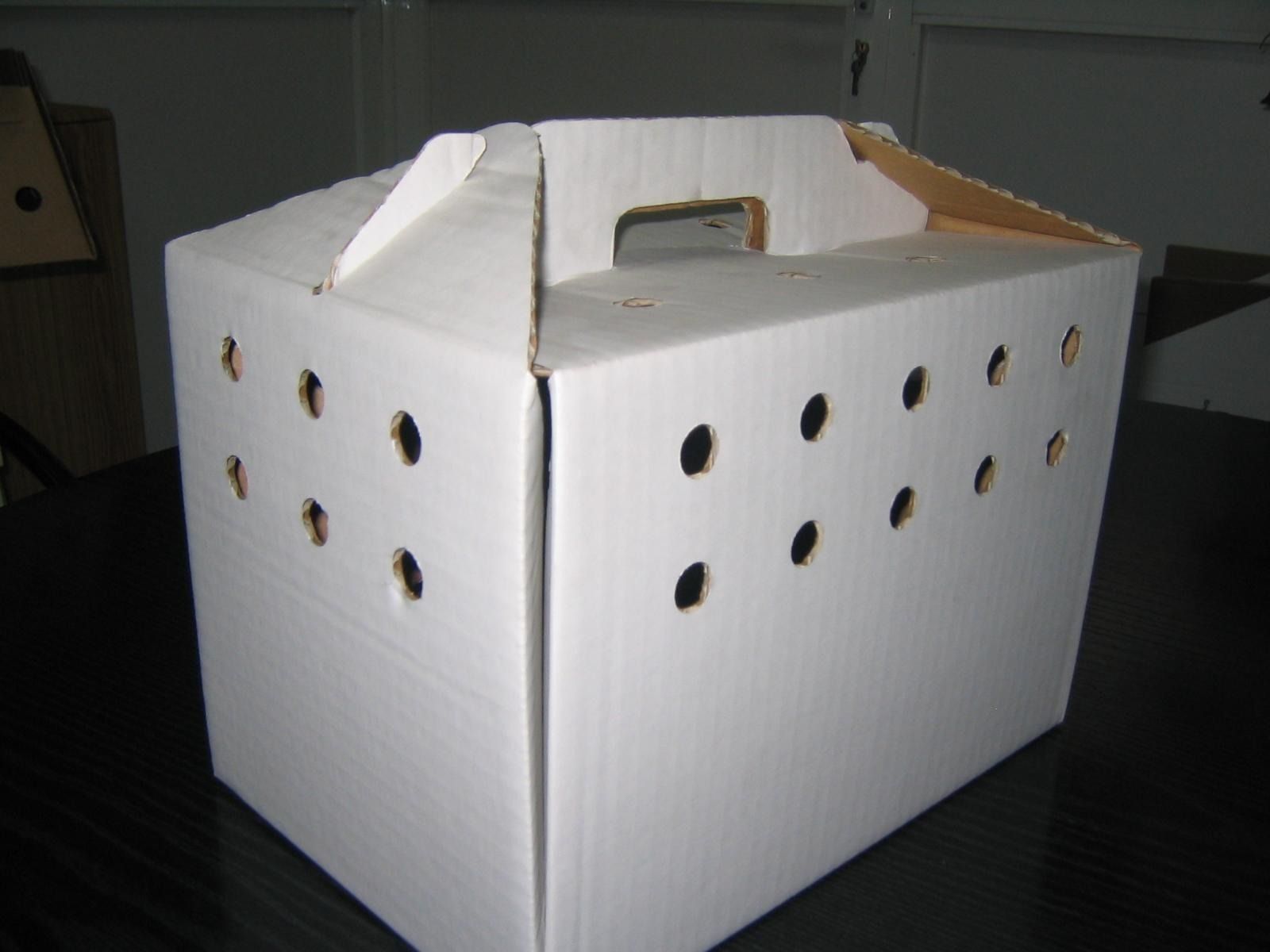 Una caja de cartón blanca con agujeros y un asa.