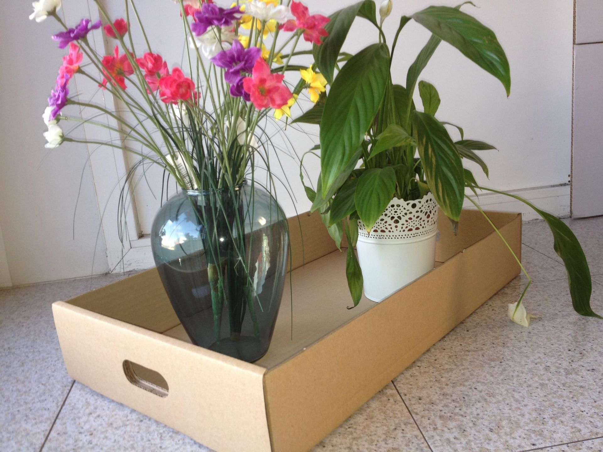 Un jarrón de flores reposa sobre una bandeja de cartón junto a una planta en maceta.