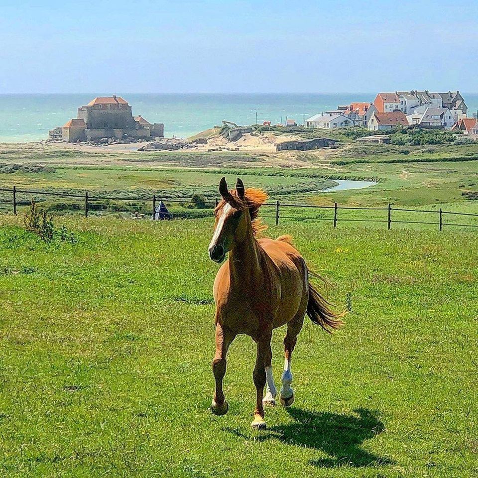 Taxi pour déplacements privés