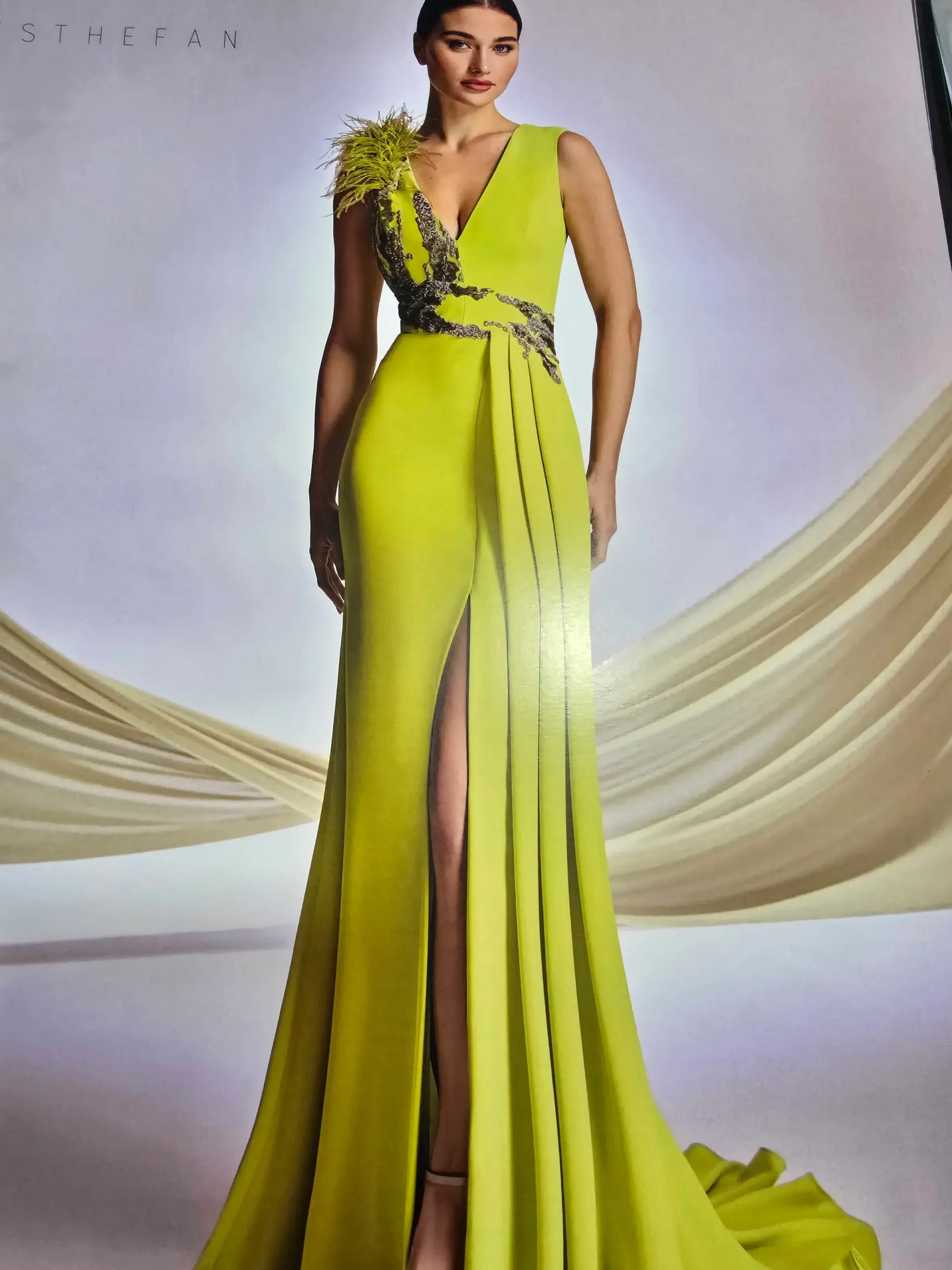 Una mujer con un vestido largo verde con plumas en los hombros.