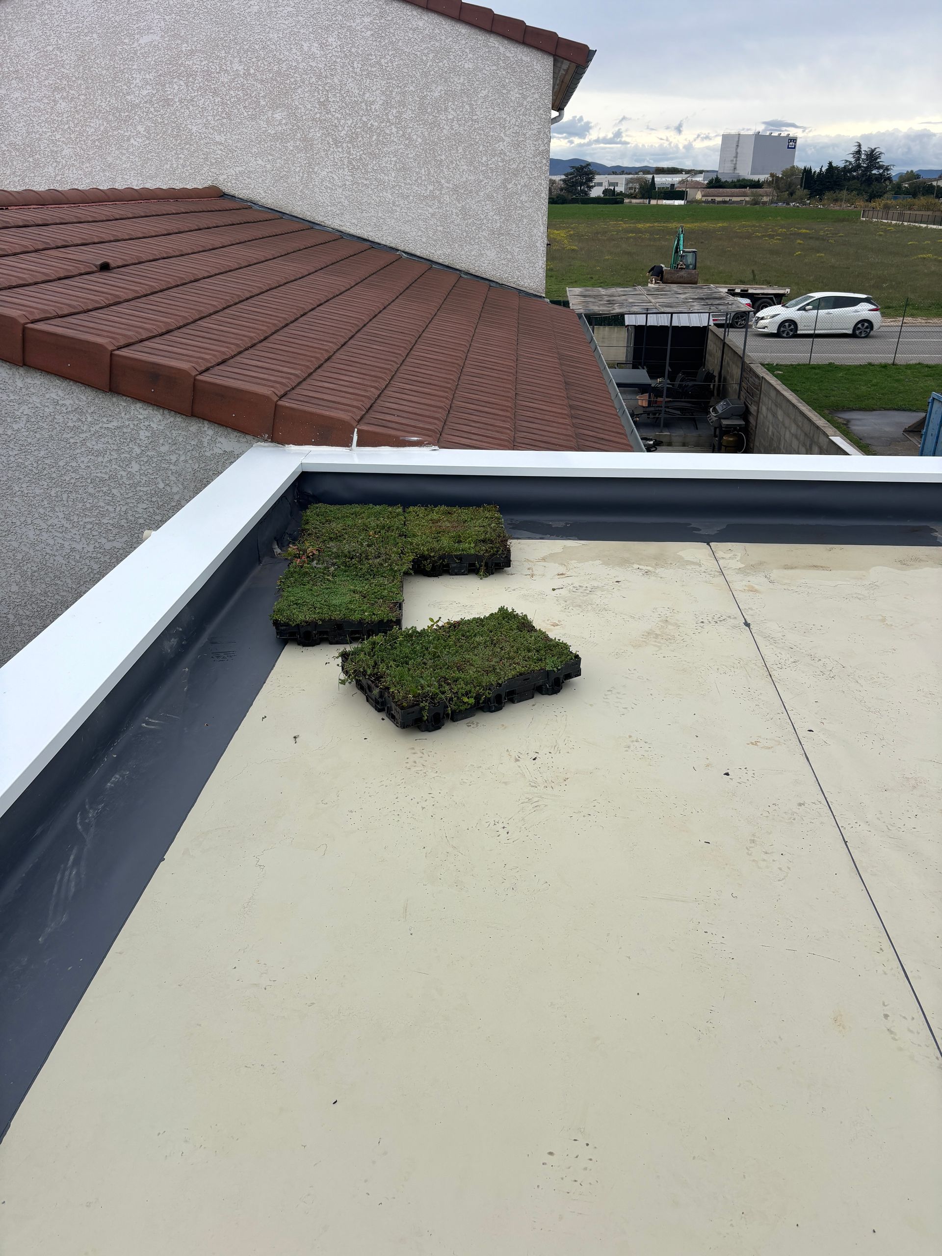 Une toiture végétalisée