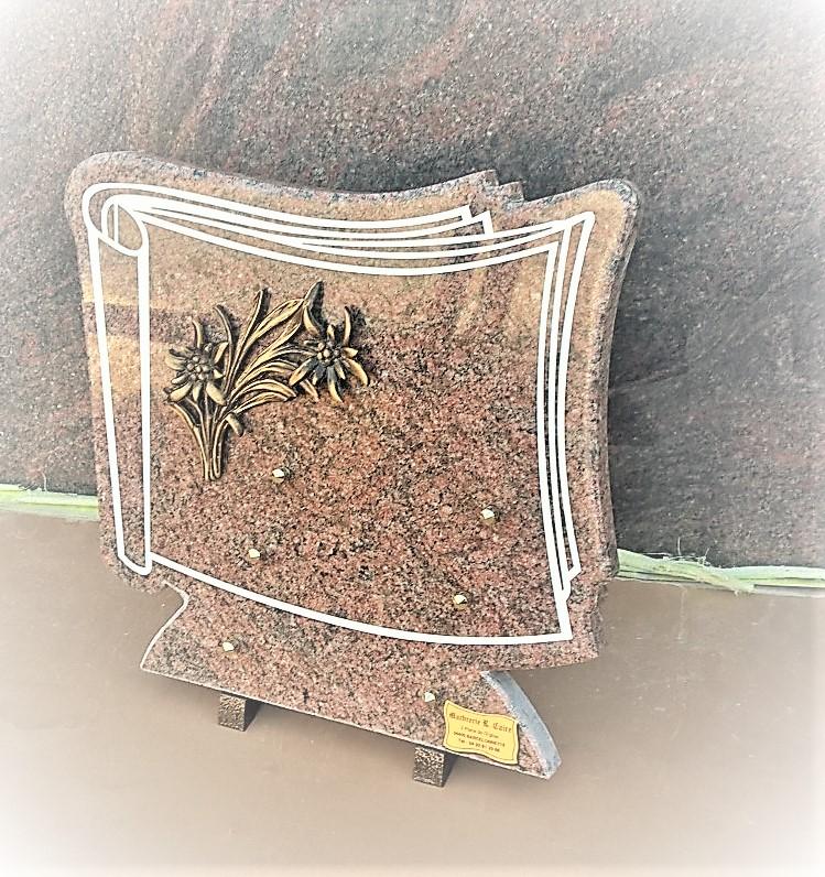 plaque livre n2 p haute