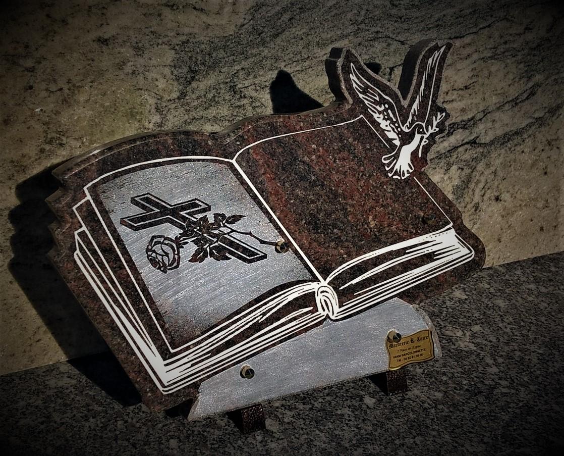 plaque livre n3 page blanche