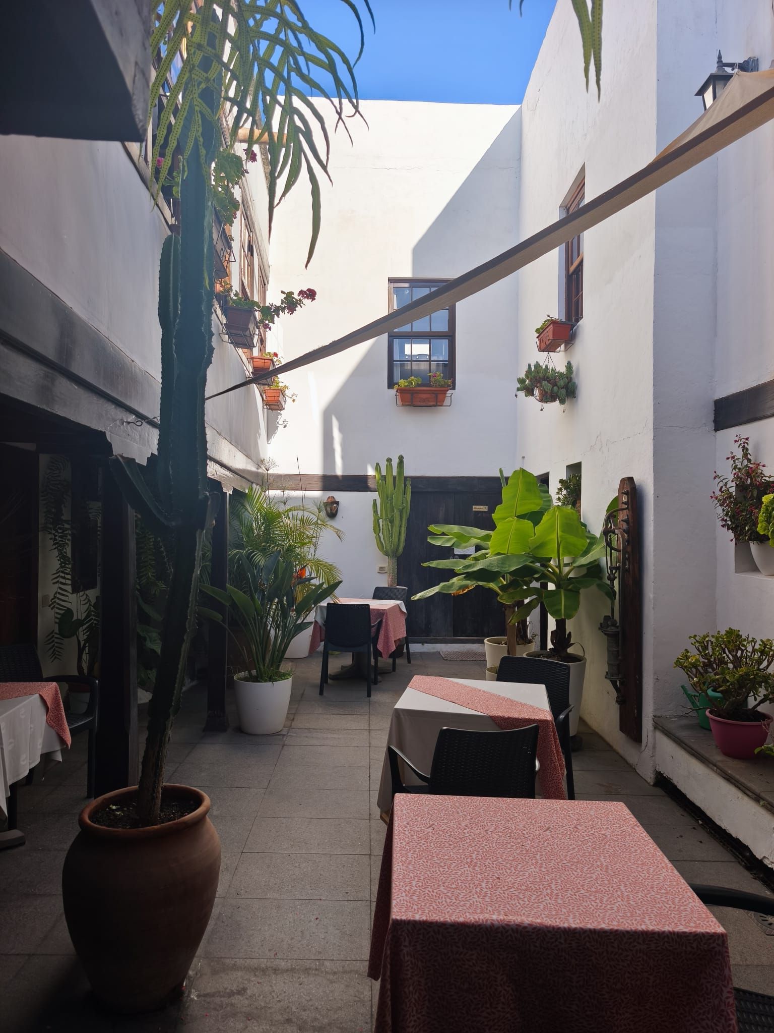 Patio estrecho con paredes blancas, plantas en macetas y mesitas al aire libre