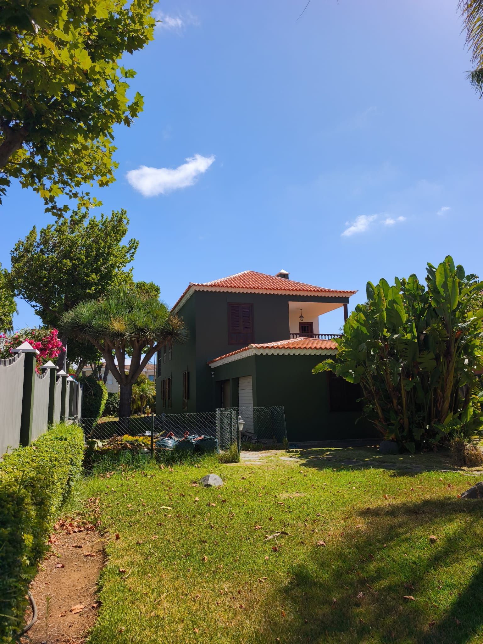 Patio soleado con césped verde, arbustos y una casa de dos plantas con tejado de tejas rojas