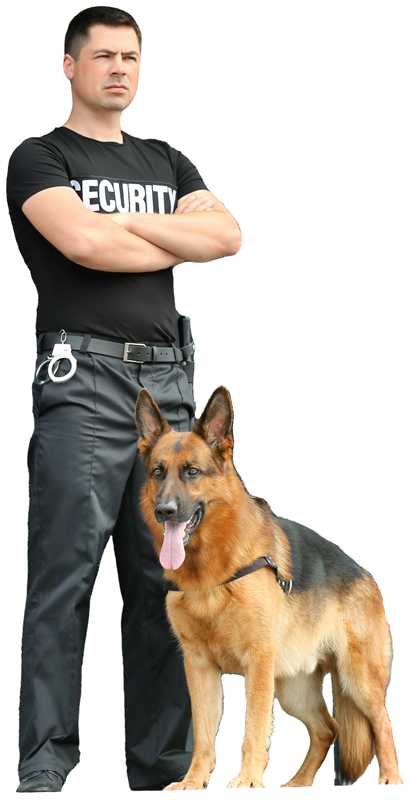 Un agent croise les bras, un chien de garde devant lui