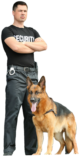 Un agent croise les bras, un chien de garde devant lui