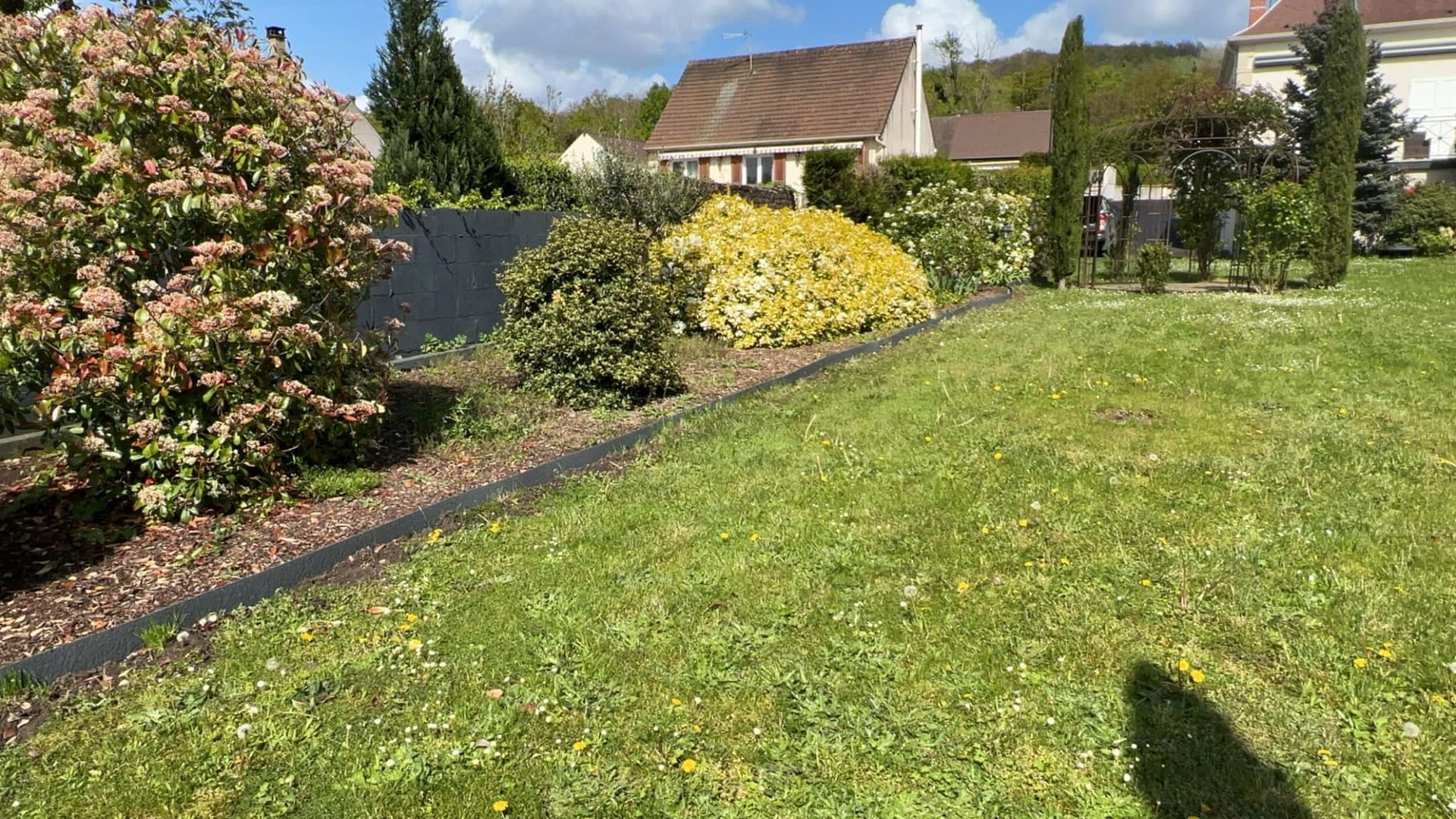Création paysagère avec des buissons