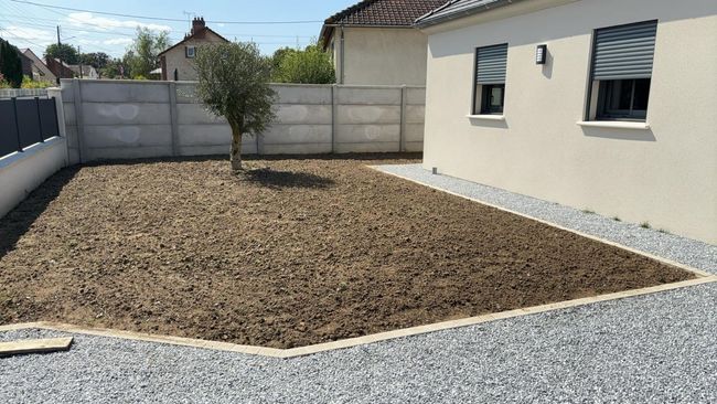 Aménagement extérieur en gravier, avec un olivier