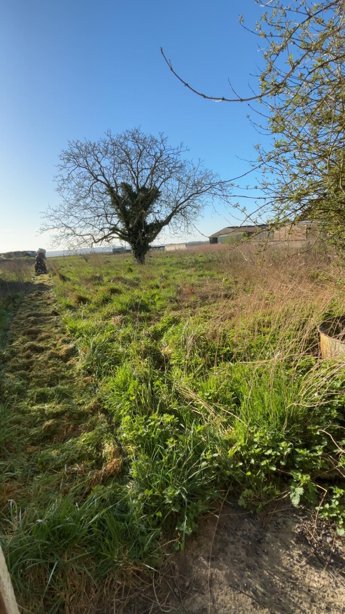 Terrain en friche