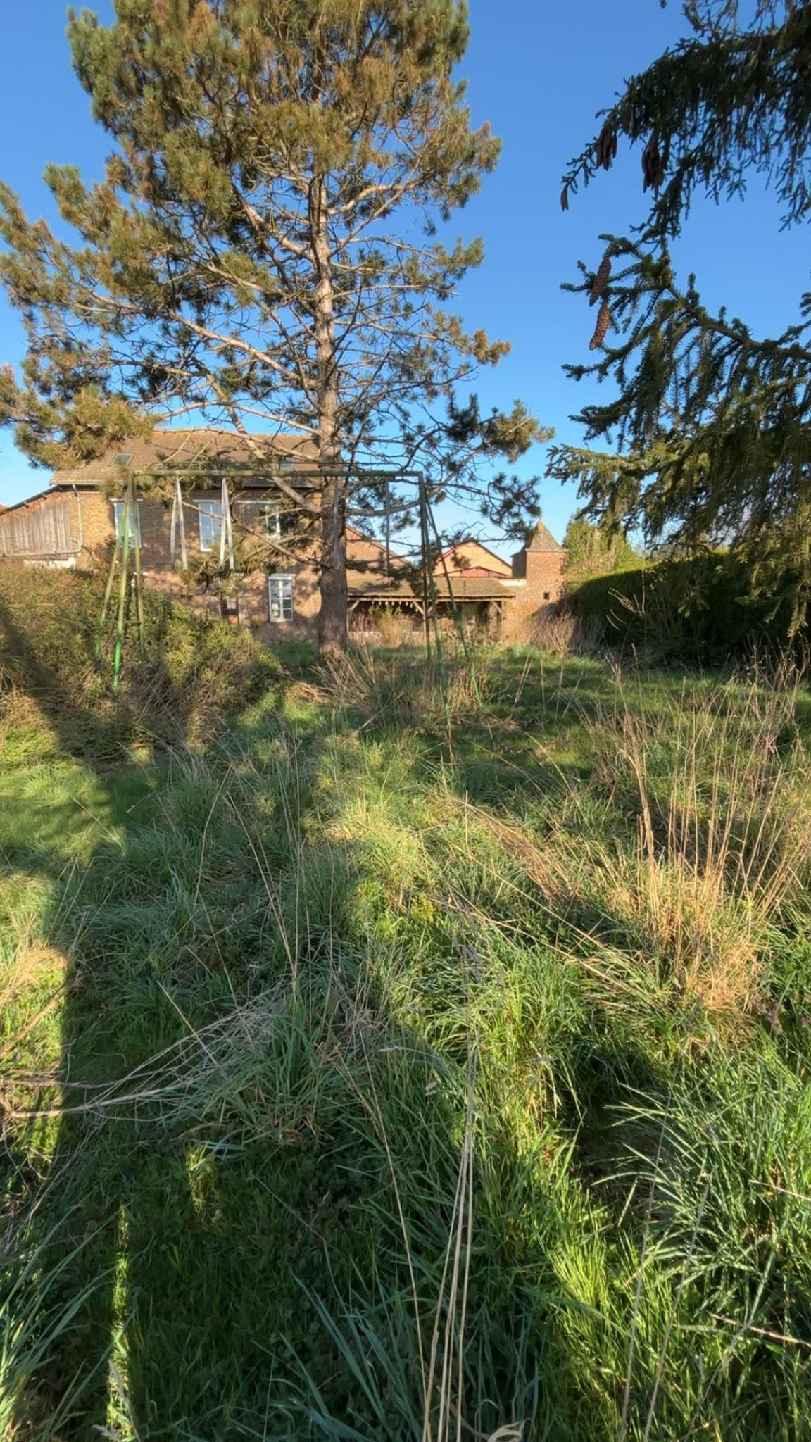 Jardin d'une maison avant le débroussaillage