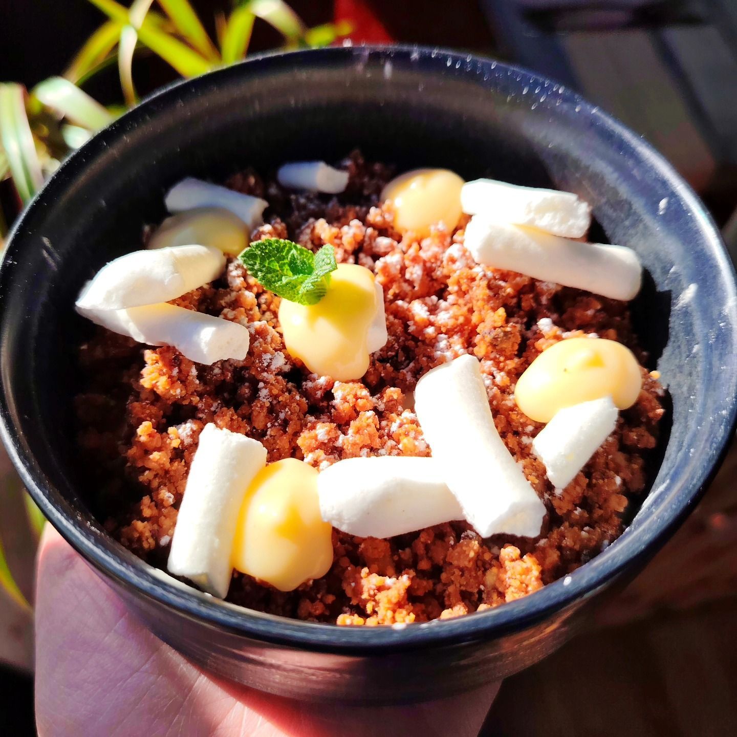 Un bol de dessert : crumble brun, noix de macadamia, noix de coco et une feuille de menthe.