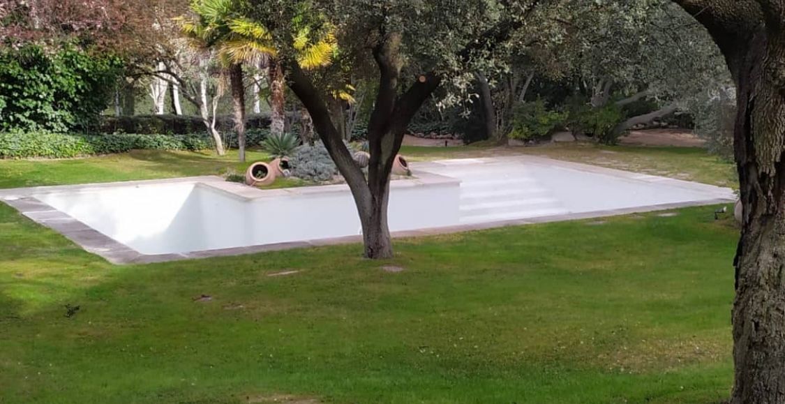 Una gran piscina en un exuberante jardín verde con un árbol en primer plano.