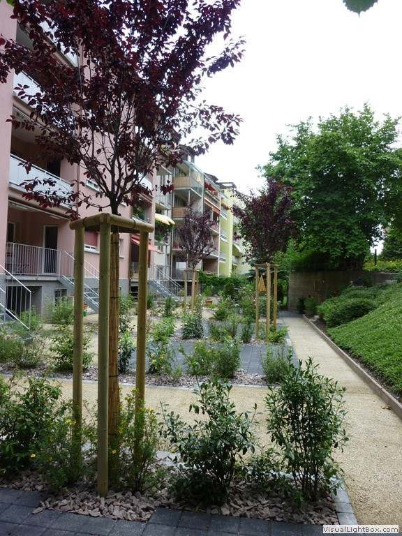 Eine Reihe von Bäumen und Büschen vor einem Gebäude