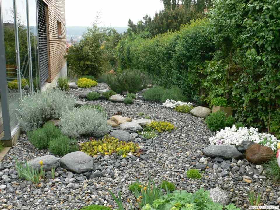 Ein Garten mit vielen Steinen und Pflanzen
