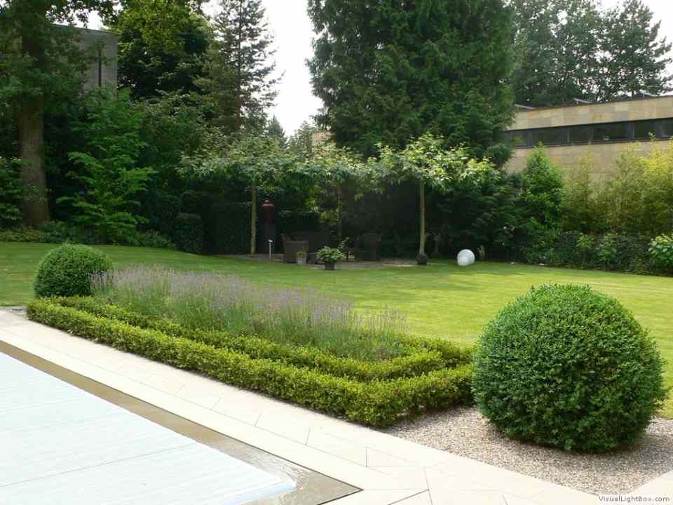 Ein üppiger grüner Garten mit einem Swimmingpool im Hintergrund