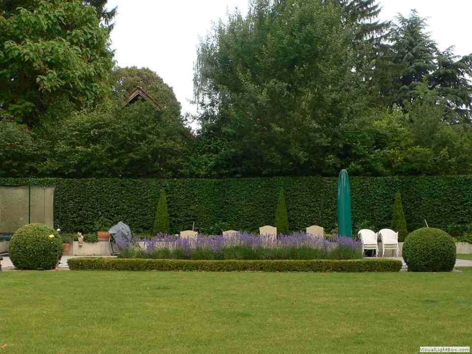 Ein üppiger grüner Garten mit lila Blumen und einem blauen Sonnenschirm