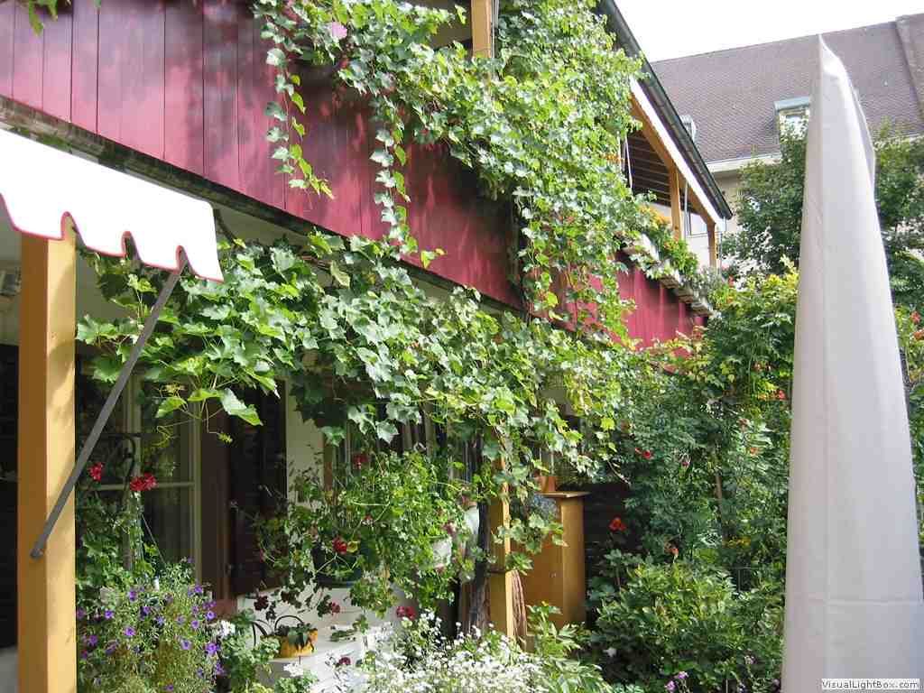 Ein rotes Gebäude mit einer weissen Markise und Pflanzen, die darauf wachsen