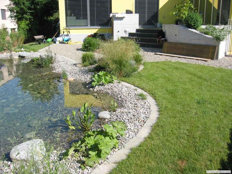 Eine Wiese mit einem Teich in der Mitte