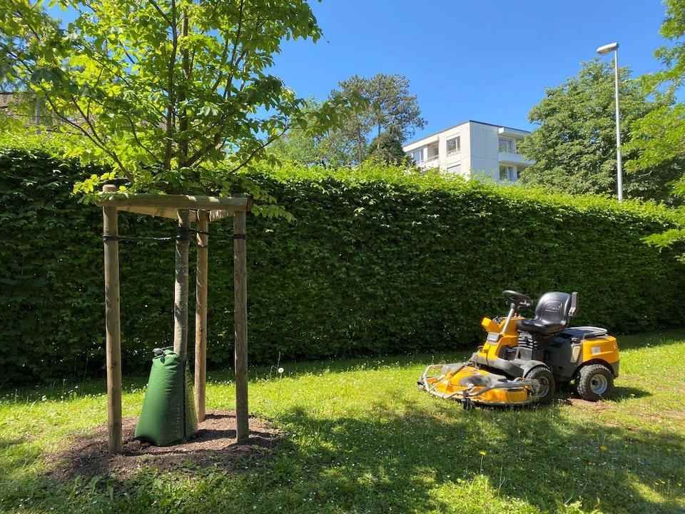Ein gelber Rasenmäher steht neben einem Baum in einem Park.