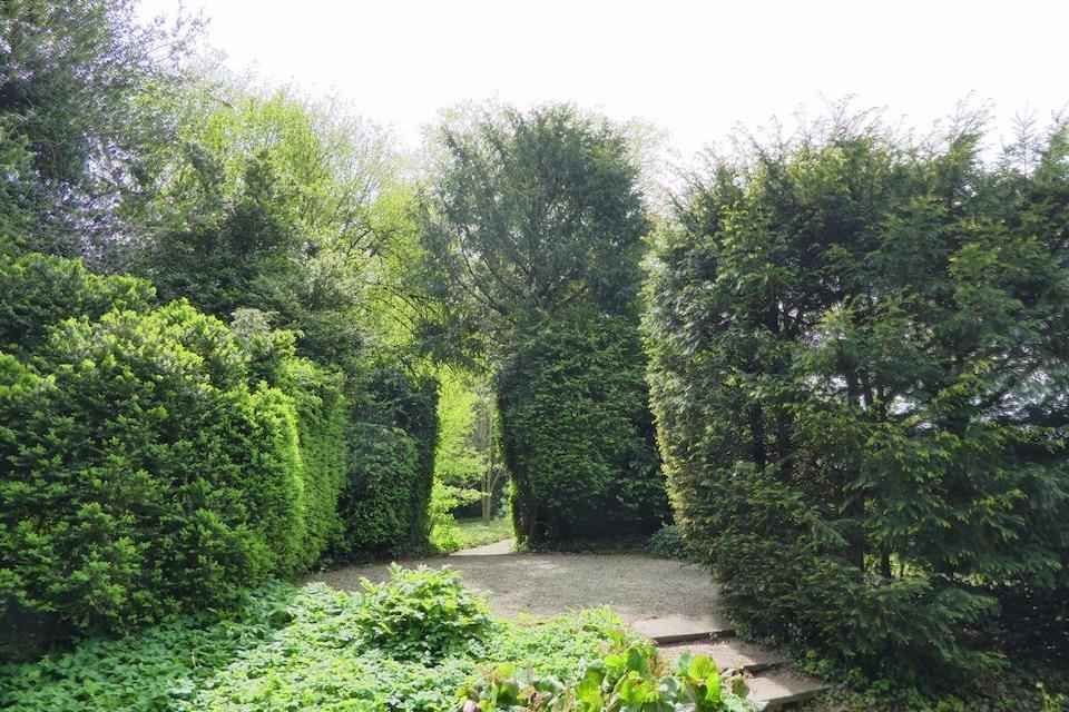 Ein Weg in einem Garten, umgeben von Bäumen und Büschen