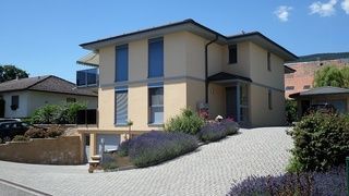 Gavin Paul SA - Ballens