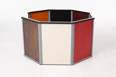 Eine Katze sitzt auf einem Ziegelweg in einem Gewächshaus.