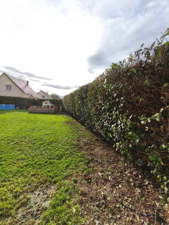 Jardin herbeux bordé d'une haute haie, avec une maison et un ciel nuageux en arrière-plan.