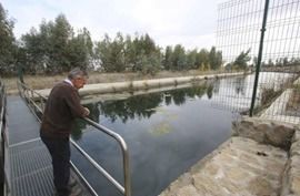 Un hombre está parado en un puente sobre un cuerpo de agua.