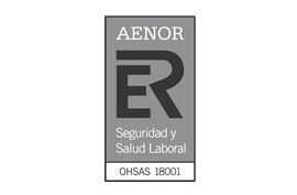 The logo for aenor seguridad y salud laboral is on a white background.