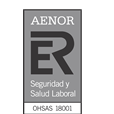 A black and white logo for a company called aenor seguridad y salud laboral.