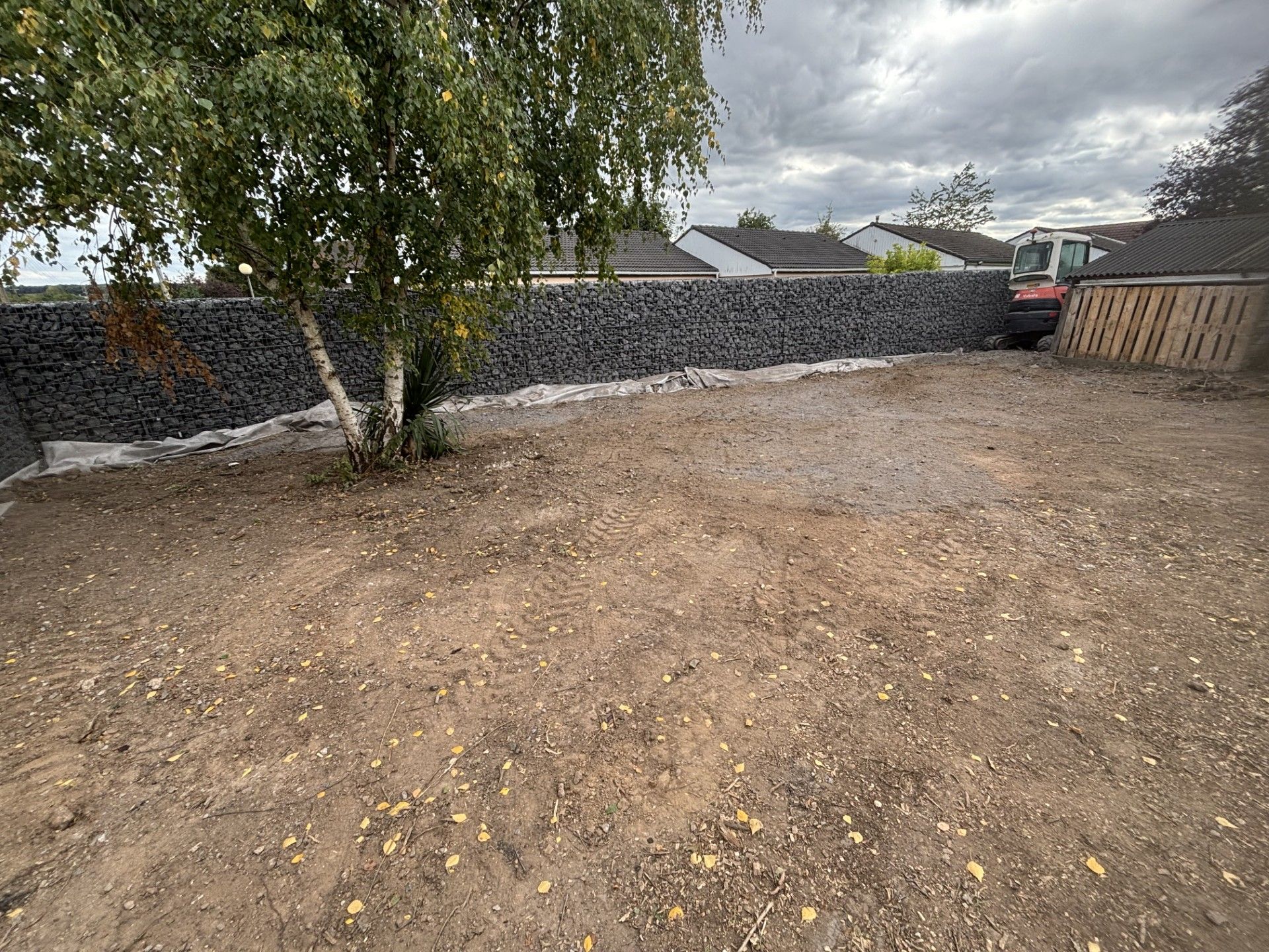 Cour en terre battue avec un arbre et un mur de gabions en arrière-plan.