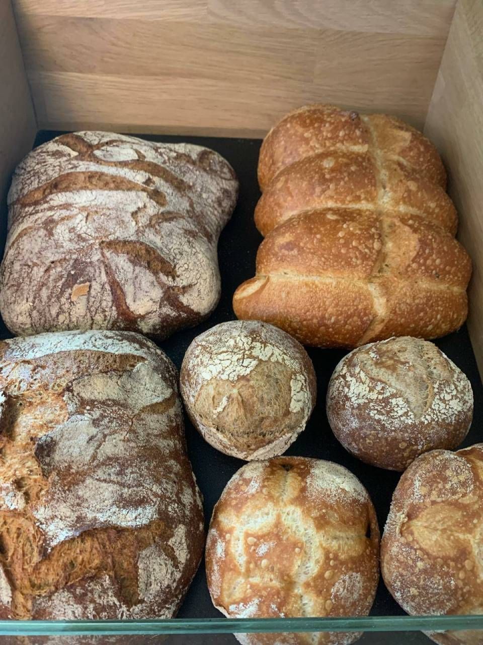 Assortimento di pagnotte e panini appena sfornati su uno scaffale, di varie forme e con croste dorate.