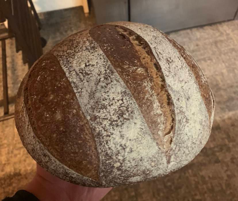 Mano che regge una pagnotta rotonda con strisce diagonali infarinate.