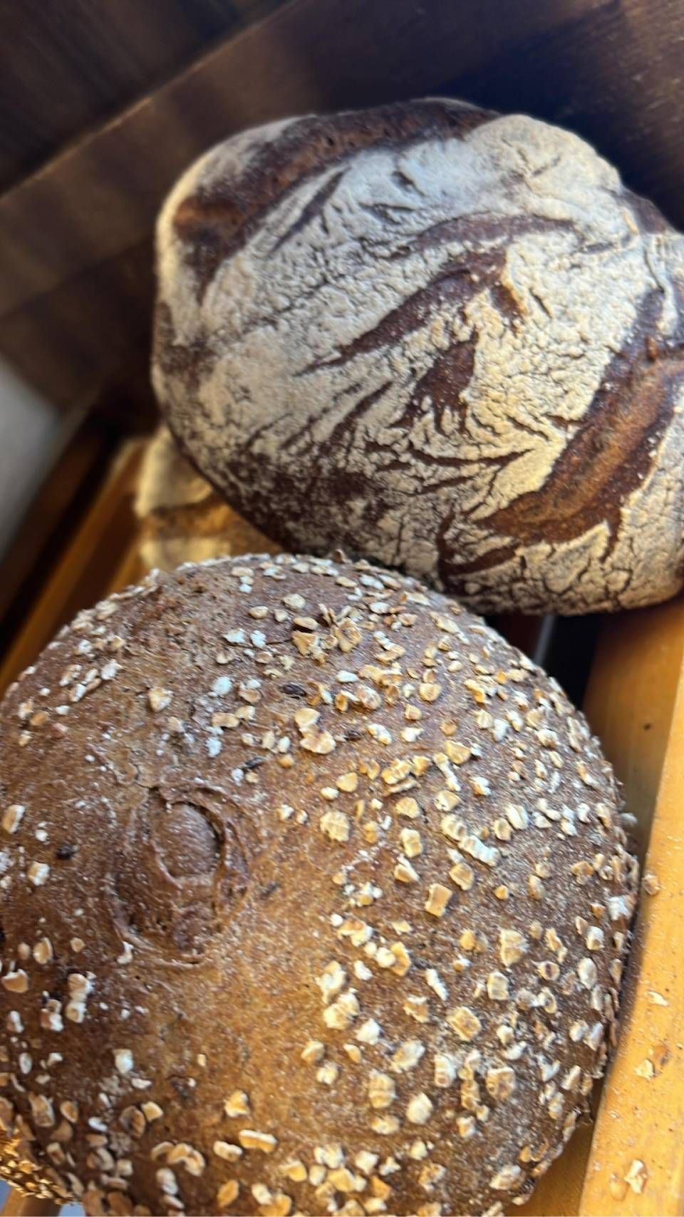 Due pagnotte rustiche rotonde, una con guarnizione di avena, l'altra rigata.