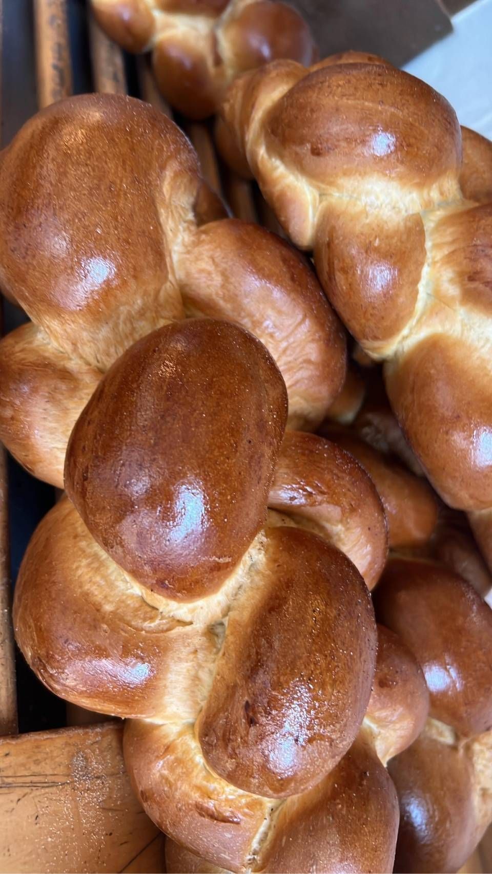 Panini brioche dorati, molto compatti.