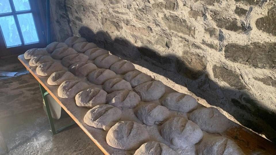 Pagnotte crude su tavolo di legno.