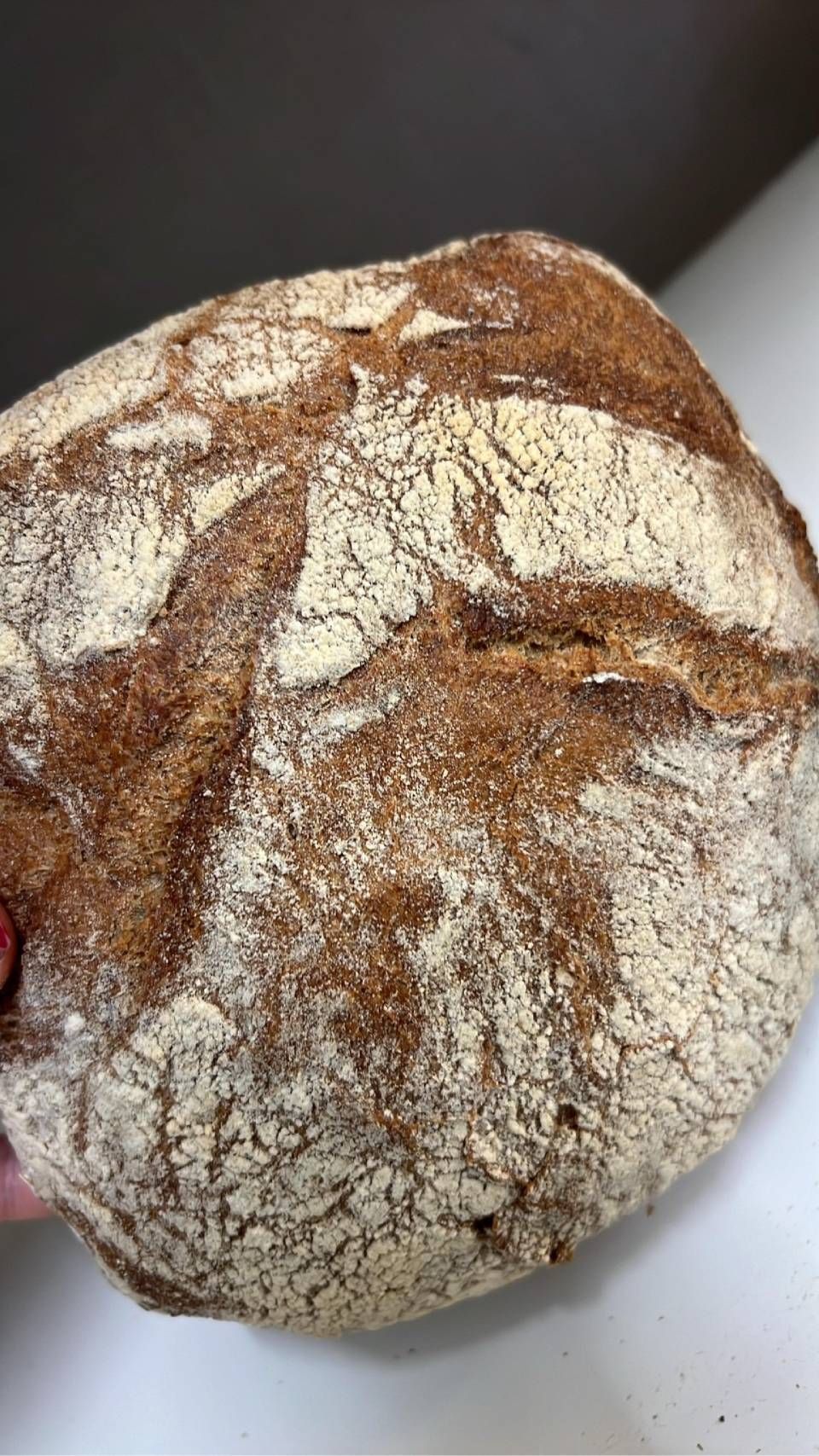Pagnotta di pane croccante, con esterno dorato e spolverato di farina.