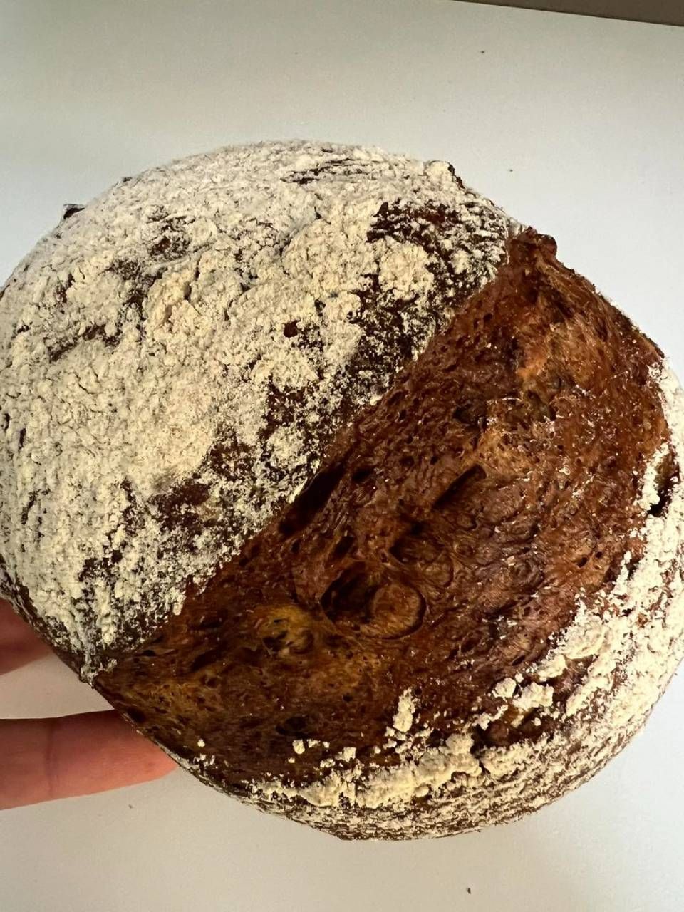 Pagnotta rotonda di pane scuro, infarinata e con la superficie rigata.