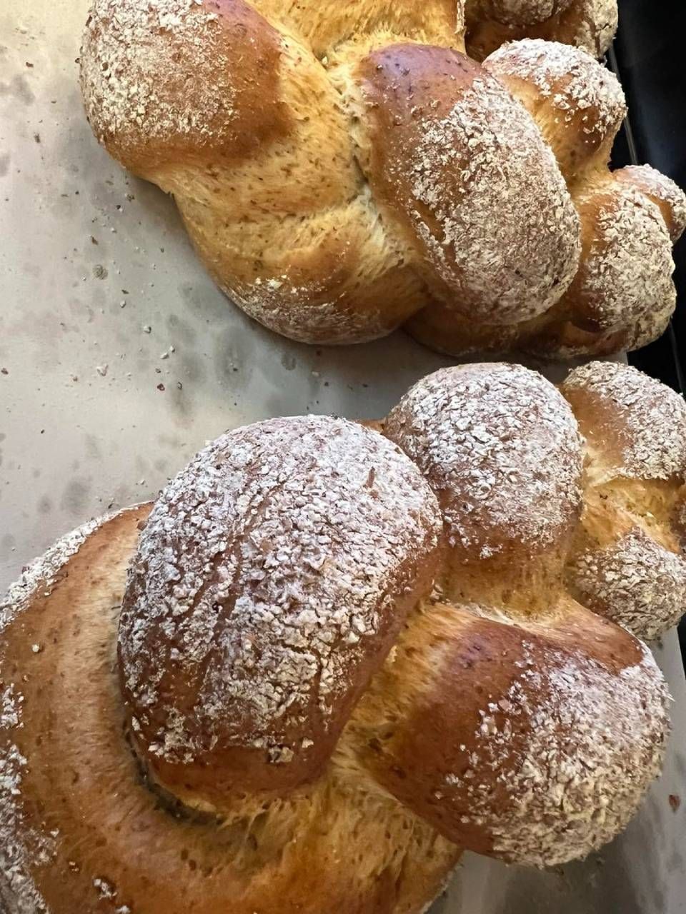 Pagnotte di pane intrecciate, cosparse di farina, sono disposte su una teglia.
