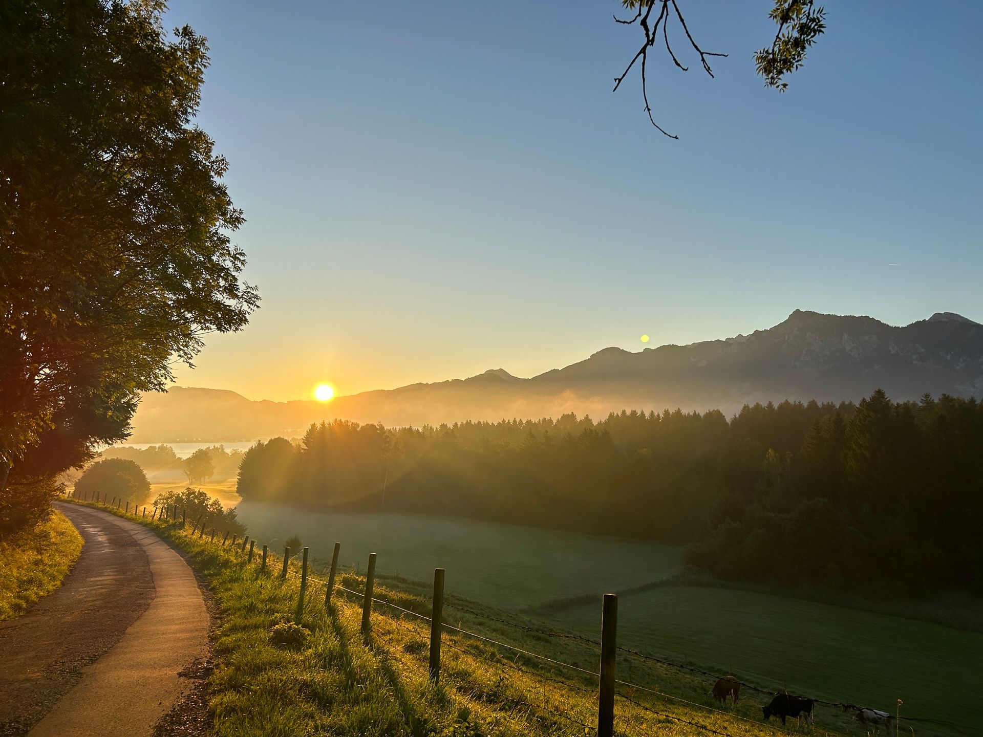Sonnenaufgang am Forggensee