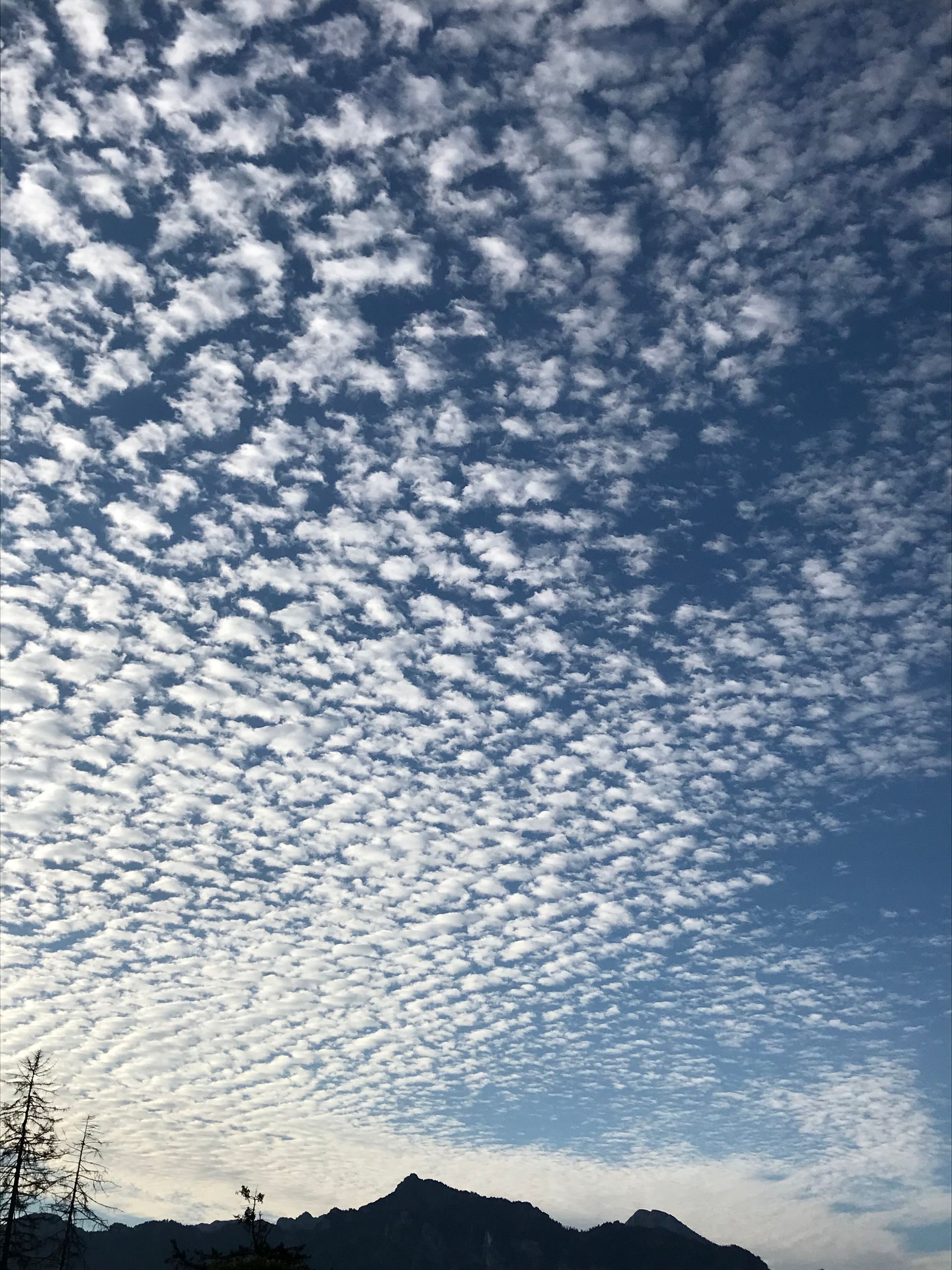 Blau-Weiss