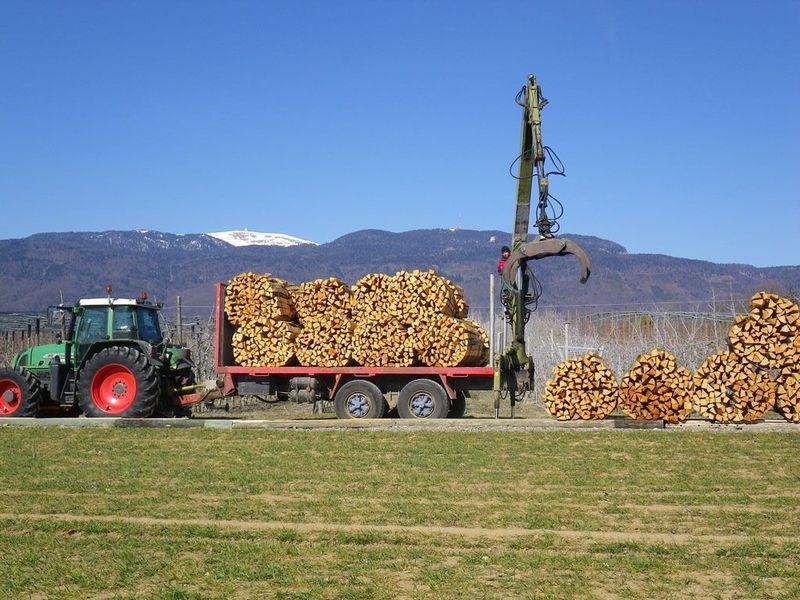 Un tracteur transporte des grumes empilées dans un champ, à côté d'une déchiqueteuse à bois, avec des montagnes en arrière-plan.