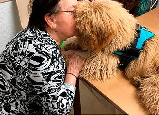 Una dona està besant un gos al nas mentre està asseguda a una taula.