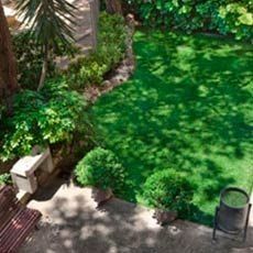 Una vista aèria d'un jardí verd i exuberant amb un banc i una paperera.