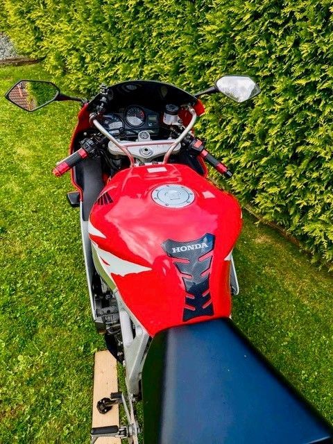 Rotes Honda-Motorrad auf grünem Gras mit Heckenhintergrund geparkt.