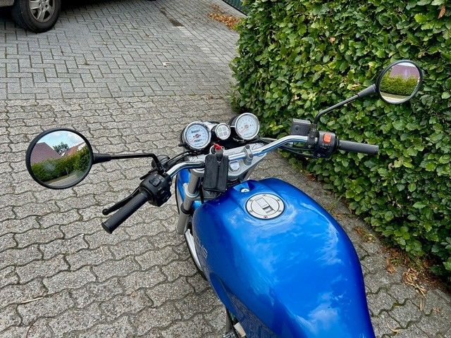Blaues Motorrad, geparkt auf einer gepflasterten Auffahrt, mit Lenker, Spiegeln und Kraftstofftank, im Hintergrund Grünpflanzen.