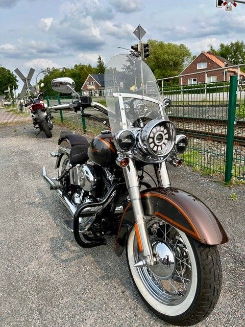 Ein Motorrad der Marke Harley Davidson ist am Straßenrand geparkt.
