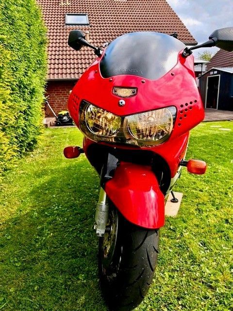Rotes Sportmotorrad auf grünem Rasen geparkt.
