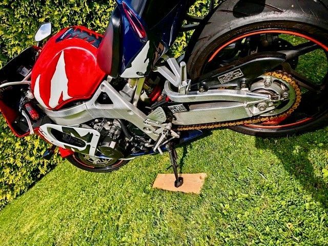 Rot-weiß-blaues Honda-Sportmotorrad auf einer Rasenfläche, gestützt von einem Ständer.